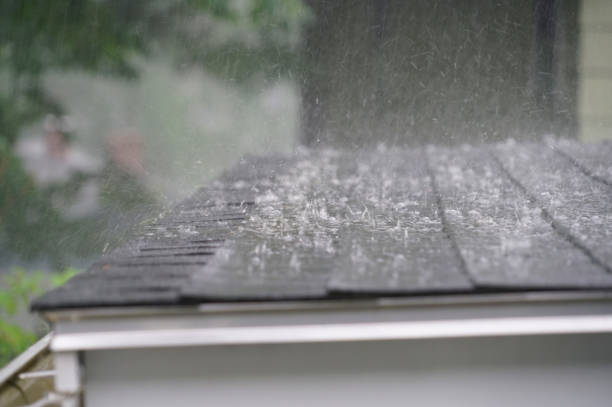 Best Sheet Metal Roofing  in Davidson, NC